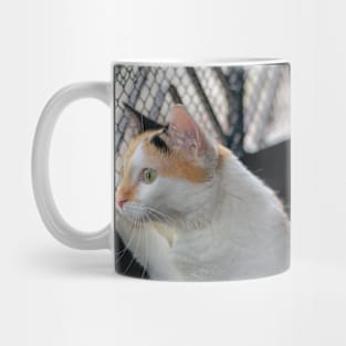 cat looking at the door Mug